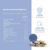 LIFEED5 Complejo B Vitaminas B1, B2, B3, B5, B6, B12