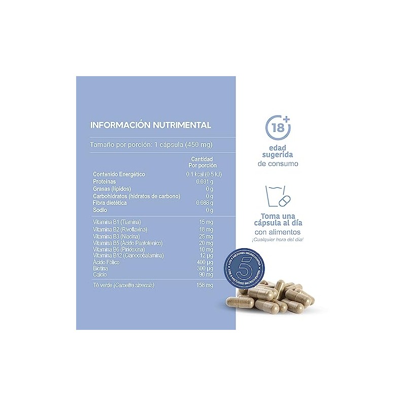 LIFEED5 Complejo B Vitaminas B1, B2, B3, B5, B6, B12