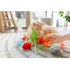 Quirky Kitty Tabby Taqueria Bulk Pack, Catnip and Interactive Toys-