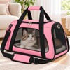 Portable Pet Carrier Bag for Travel – Cat Carriers Dog