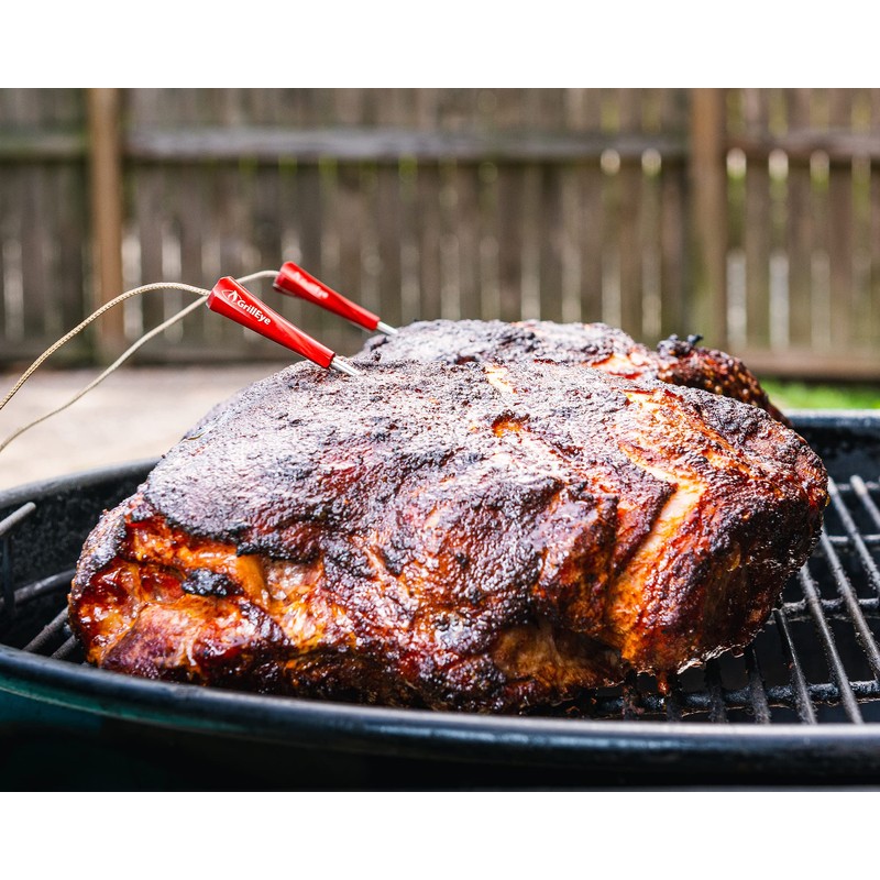 GrillEye Iris Meat and Ambient Probe