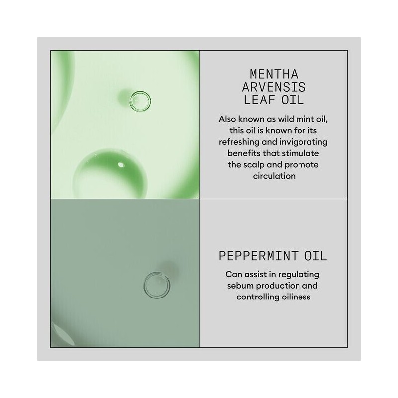 Biotin Nioxin by Nioxin Scalp Renew Dermabrasion Treatment 2.5 oz