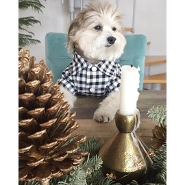 DroolingDog 3 Pack Plaid Dog Shirts Small Dog T Shirt Checked Pattern Tshirt Puppy Button Up Tee Black White Rose Blue Pet Clothes, Small