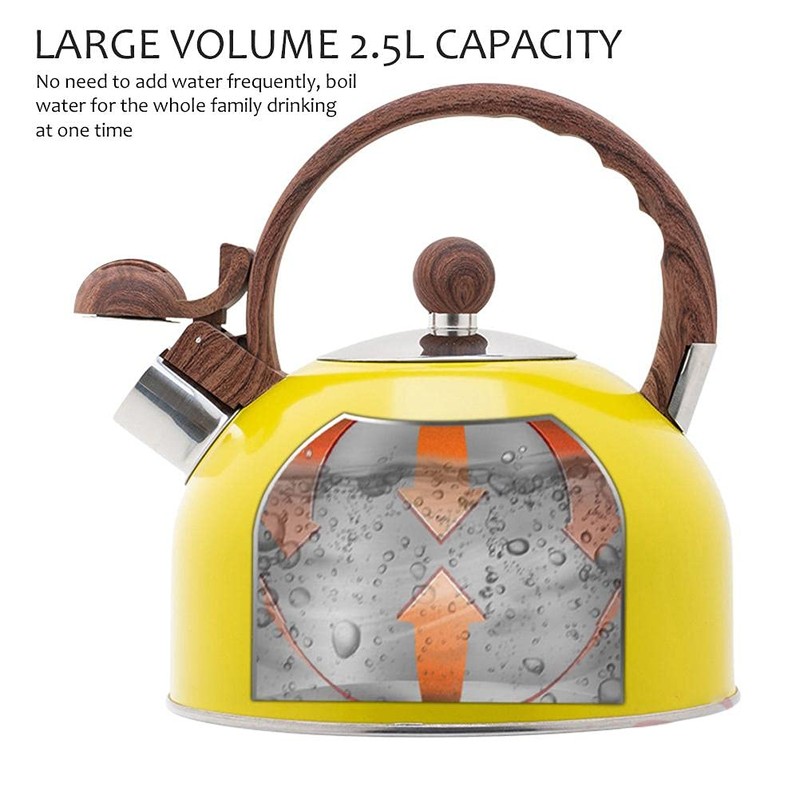 Whistling Kettle, 2.5L Stainless Steel Cooktop Kettle with Handle, Travel