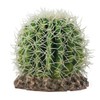 HOBBY Terraristik Cactus Sonora M I 15 x 15 x