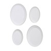 Lotion Applicator EVA Wooden Handle 4 Replaceable Pads Shower Brush