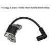 Ignition Coil Set Replacement Auto Parts With Plug For Briggs