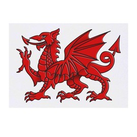 'Welsh Dragon' Temporary Tattoo - Water Resistant, Skin-Safe, Non-Toxic Transfer (TO00030434)