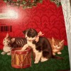 Vtg UNUSED Christmas Card Victorian Cat Kittens Insert Photo W/Env