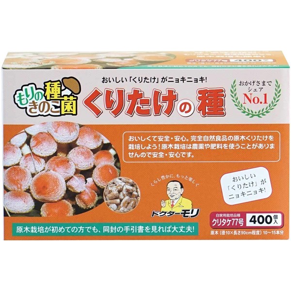 Kuritake Seed Pieces (400 Kuritake Seed Pieces)