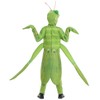 Seasons Child Praying Mantis Costume (M(8-10))