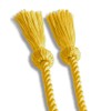Endea Graduation Single Honor Cord (Gold)