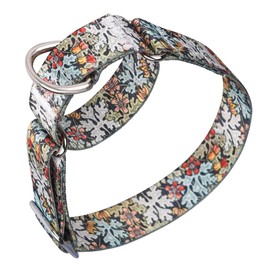 Pimaodog Heavy Duty Nylon Dog Collar, Adjustable Martingale Dog Collar for Walking Training Boy and Girl Dogs Medium Large Dogs (M:36-45CM, Green)