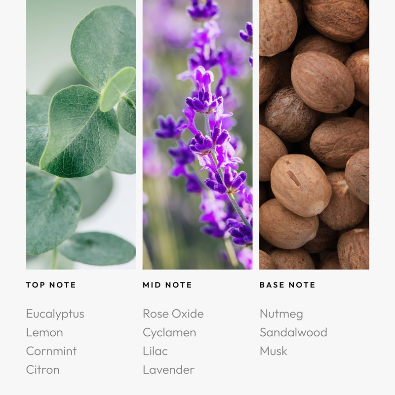 Aroma360 Fragrance Diffuser Oil - Luxury Hotel Inspired - Across