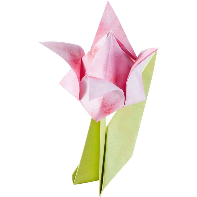 folia 40119 – Folding Sheets Set Flowers in 2 Sizes,