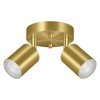 2 Light Track Lighting Fixtures Ceiling, Gold Round Directional Ceiling
