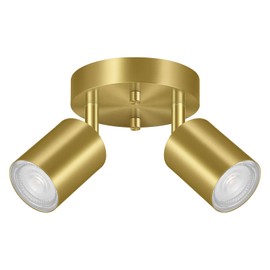 2 Light Track Lighting Fixtures Ceiling, Gold Round Directional Ceiling Spotlight, GU10 Flush Mount Ceiling/Wall Fixture, Adjustable Modern LED Track Lights for Kitchen/Living Room, Bulb Not Included
