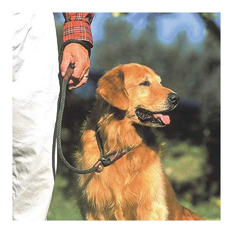 Walk 'r' Cise Nylon Rope Slip Lead, Olive Green