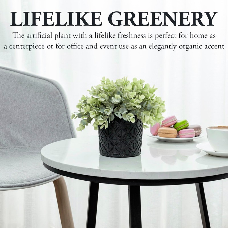 MyGift Artificial Plant Eucalyptus Boxwood in Modern Black Concrete Pot