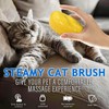 Cat Steam Brush, 3 In 1 Steamy Cat Brush for