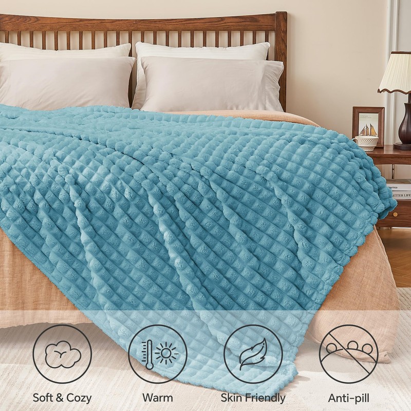 BEDELITE Fluffy Fleece Throw Blanket - Light Blue Sofa Throw