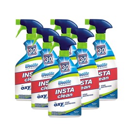 Woolite INSTAclean Oxy Carpet Cleaner 22 oz. Liquid