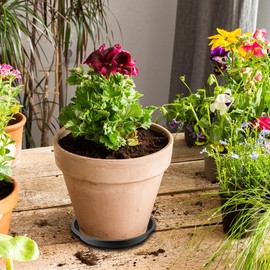 BamLue 12 Pack Upgrade Thickened Plant Saucer - 6 8 10 Inch Plant Trays Round Plastic Plant Drip Dishes for Indoor Outdoor Garden Plants- Collects Flower Pots Drainage and Excess Water for Planters