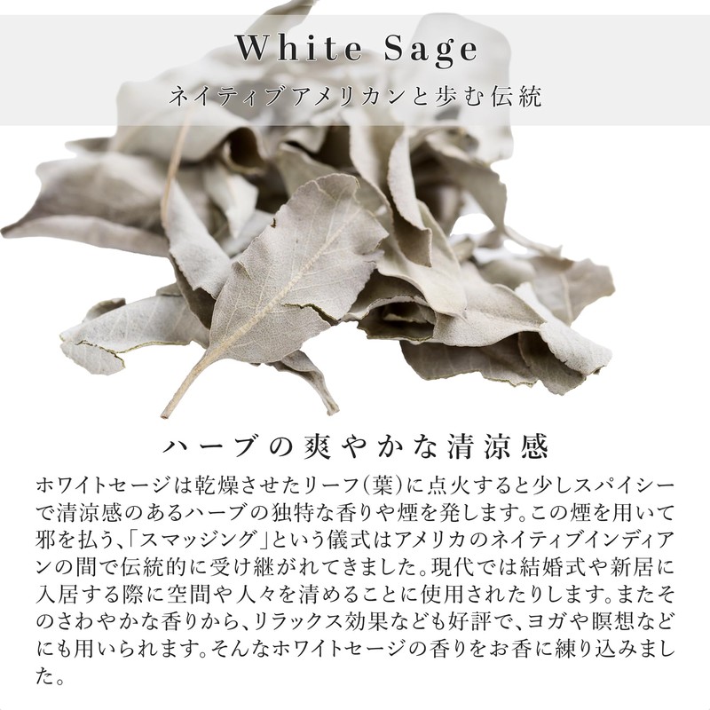 DANNY LIB White Sage Incense, Short, 10 Sticks, Burning for