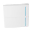Wireless Light Switch Smart Remote Control Switch Wall Switch 433MHz