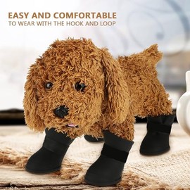 Botas y Zapatos Impermeables para Perros, Protectores de Patas para Invierno, Día de Nieve, Verano, Pavimento Caliente, Clima Lluvioso (M)