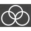 TEAM DELRIN WASHER 3/PK 930650