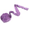 Lifting Sling Hoist Webbing 1T Polyester Rigging Strap Purple for