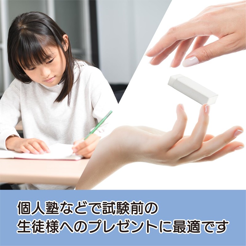LESALPES Plain Sleeve Erasers, Set of 30, Made in Japan,
