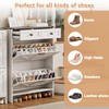 dainslef Shoe Storage Cabinet with 2 Flip Drawers and 2