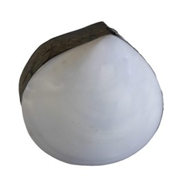 ART-CRAFT Small Shell Box White Ring Box with Lid Ring Box Pill Box Small Weed Box Jewellery Box Storage Box Gift Box Collection Box