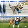 Dog Harness (Medium, Blue) for Running, Hiking & Training, Soft-Padded