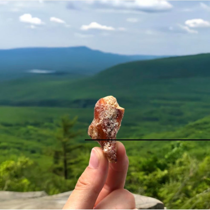 Sugar+Spice Pretzel Bites (7oz bags - 4 pack)