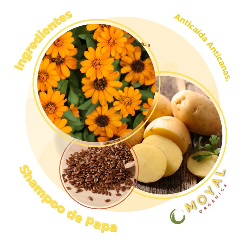 Shampoo Papa 950 Nutritivo Reparador Sheló Nabel