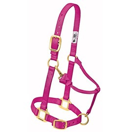 Weaver Leather Original Adjustable Nylon Horse Halter, Yearling, Raspberry