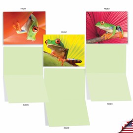 The Best Card Company - 10 Assorted Blank Note Cards Boxed Set 4 x 5.12 Inch with Envelopes (10 Designs, 1 Each) All-Occasion Wildlife and Animal Cards - FROG DAYS M10023BK