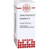 DHU Pulsatilla D12 Dilution, 20 ml Solution