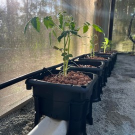 Hooch Multi Bucket Hydroponic System