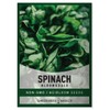 Gardeners Basics, Bloomsdale Spinach Seeds for Planting is A Great