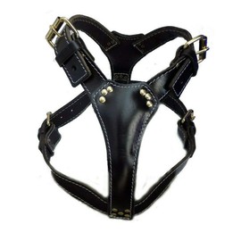 M&D Beautiful Black Plain Leather Dog Harness Large Size fits the Bullterrier type of dogs