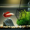 Lpraer 4in 5in 6in Aquarium Fish Net Green Fine Mesh