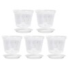 BESPORTBLE 5sets Clear Orchid Pots Flower Planter with Saucers Breathable