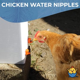 Lil'Clucker Horizontal Chicken Waterer Nipples, Pack of 15 Chicken Nipple Waterer with Drill Bits, Easy Install Automatic Chicken Waterer System, No Leak Chicken Water Feeder, Poultry Waterer - Orange