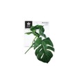 Levil Queen Levil Faux Plants Monstera