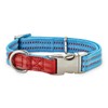Reddy Webbed Dog Collar, Cerulean Blue, Small