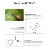 Bidameun Serum Suero Jumbo Coreano_ Colageno Y Caracol_ Antiarrugas